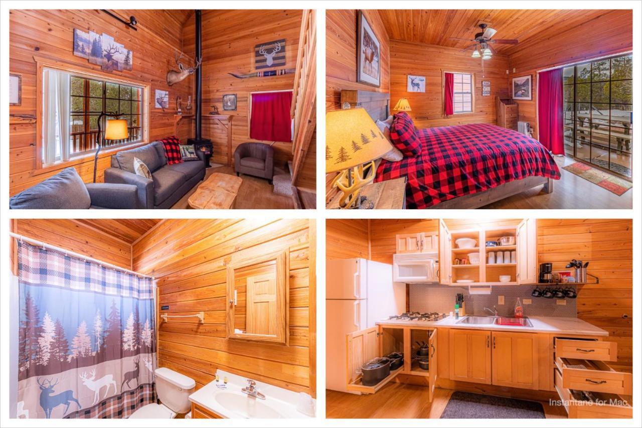 פייסון Cabin #4 The Wolves Den - Pet Friendly- Sleeps 6 - Playground & Game Room מראה חיצוני תמונה